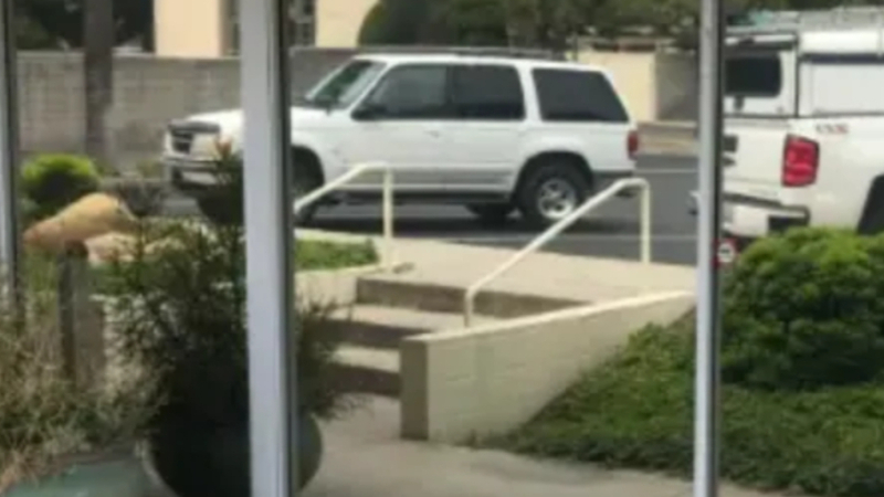 Commercial Window Tinting Los Angeles